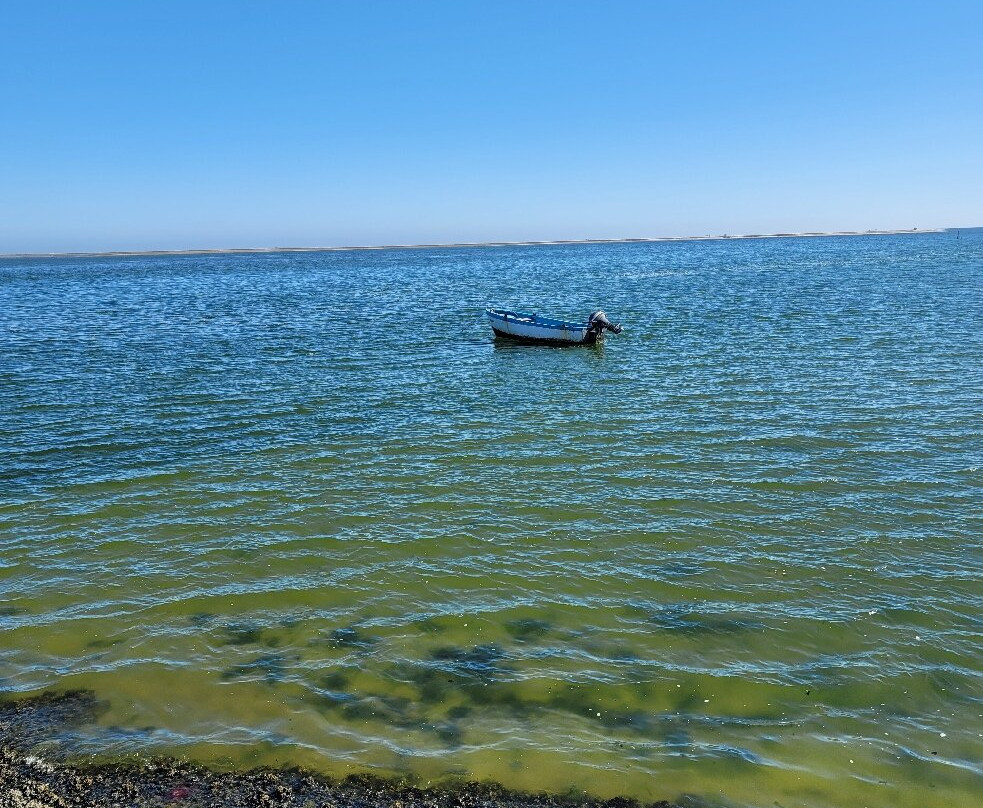 Walvis Bay Waterfront-华维斯湾必去景点