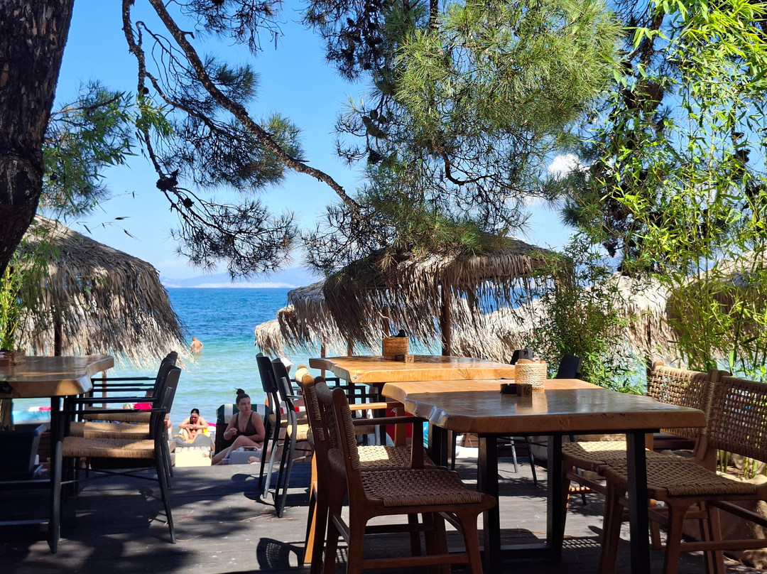 Pachis Beach Bar-Skala Rachoniou必去景点