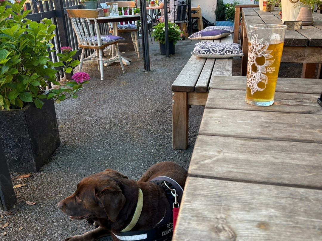 The Hatch Inn-Hatch Beauchamp必去景点
