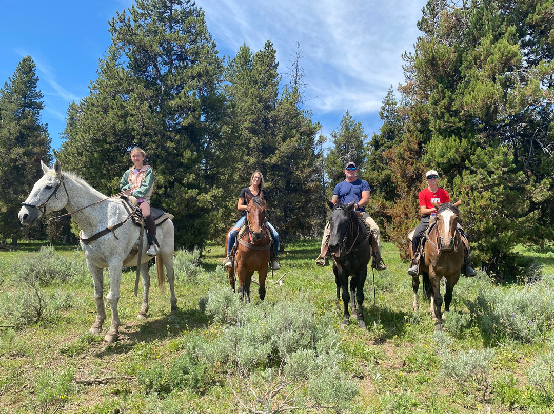 Yellowstone Horses - Eagle Ridge Ranch-艾兰帕克必去景点