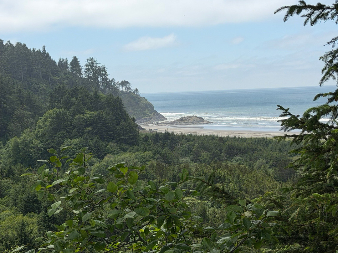 Beards Hollow Scenic Lookout-Ilwaco必去景点