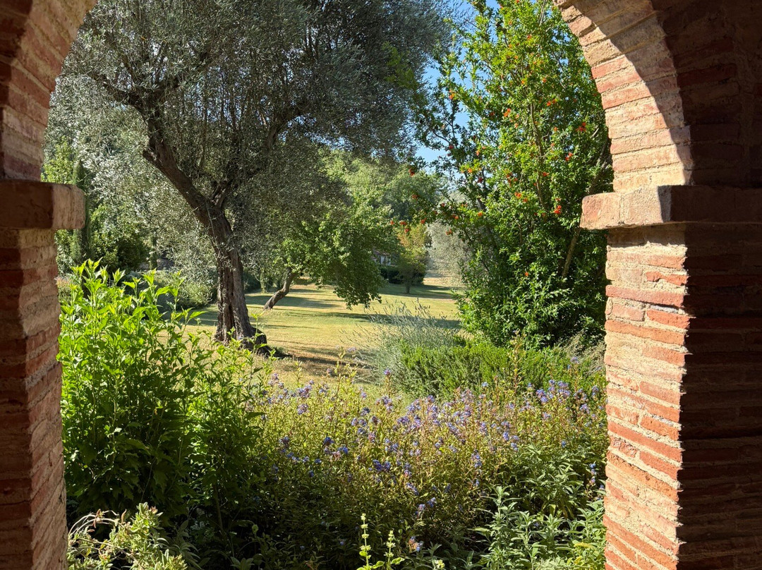 Podere Montale Winery-Seggiano必去景点