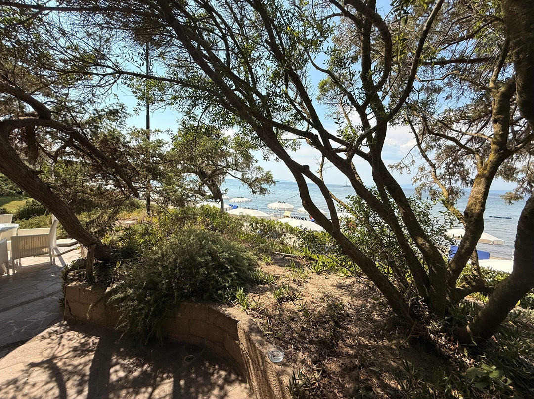 Punta Hidalgo Sporting Club-Punta Ala必去景点