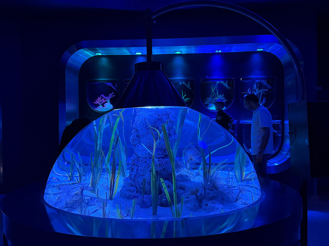 Marassi Aquarium & Underwater Zoo-Diyar Al Muharraq必去景点