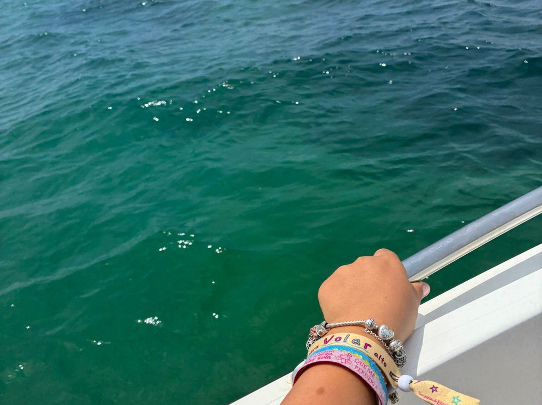Aurora Boat Trips-阿玛考德佩拉必去景点