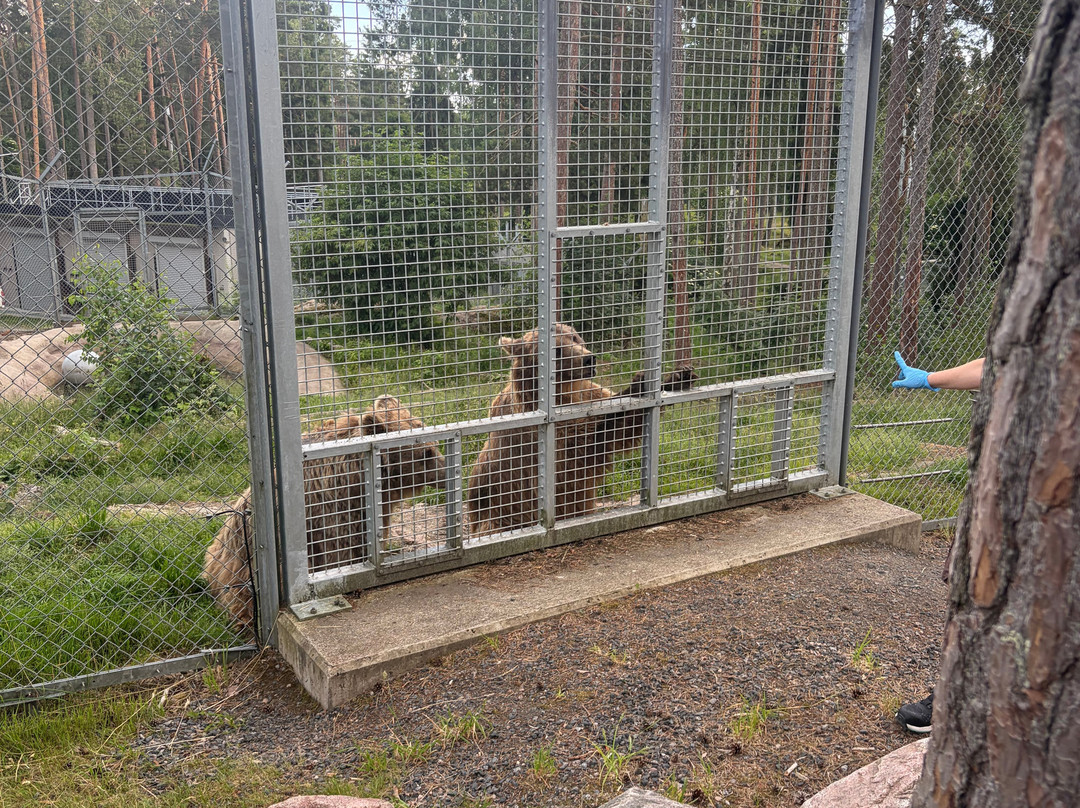 Kolmården Zoo-Kolmarden必去景点