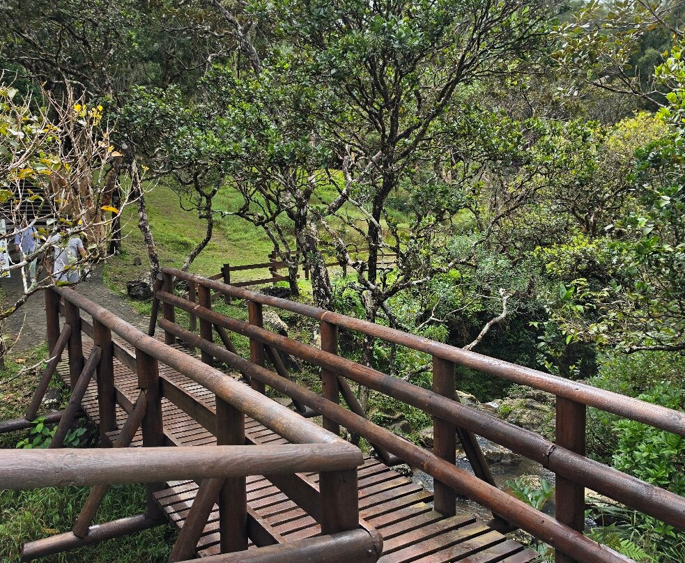 Alexandra Falls-Union Park必去景点