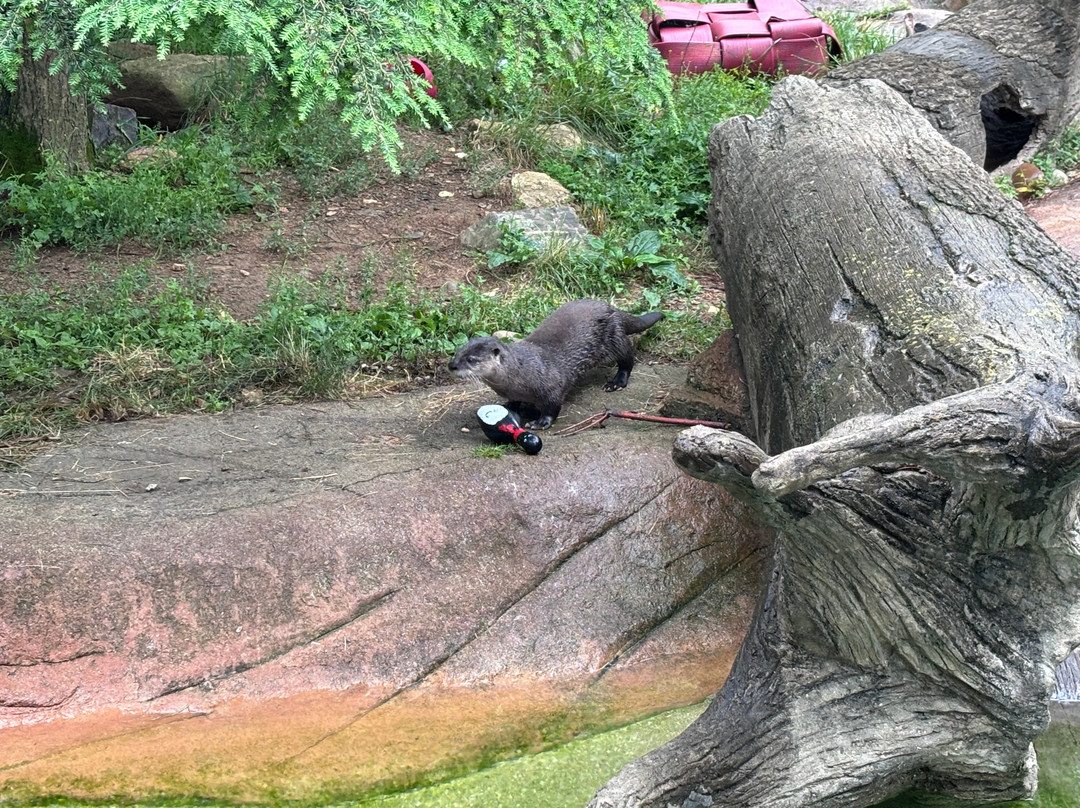 Lehigh Valley Zoo-Schnecksville必去景点