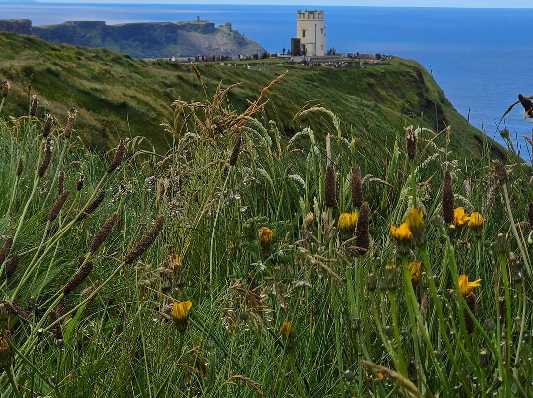 Love Irish Tours-都柏林必去景点