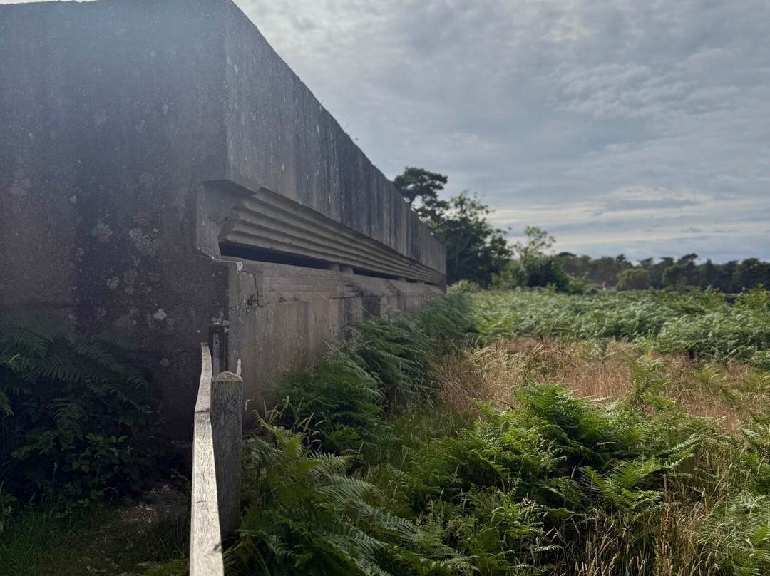 Fort Henry-Studland必去景点