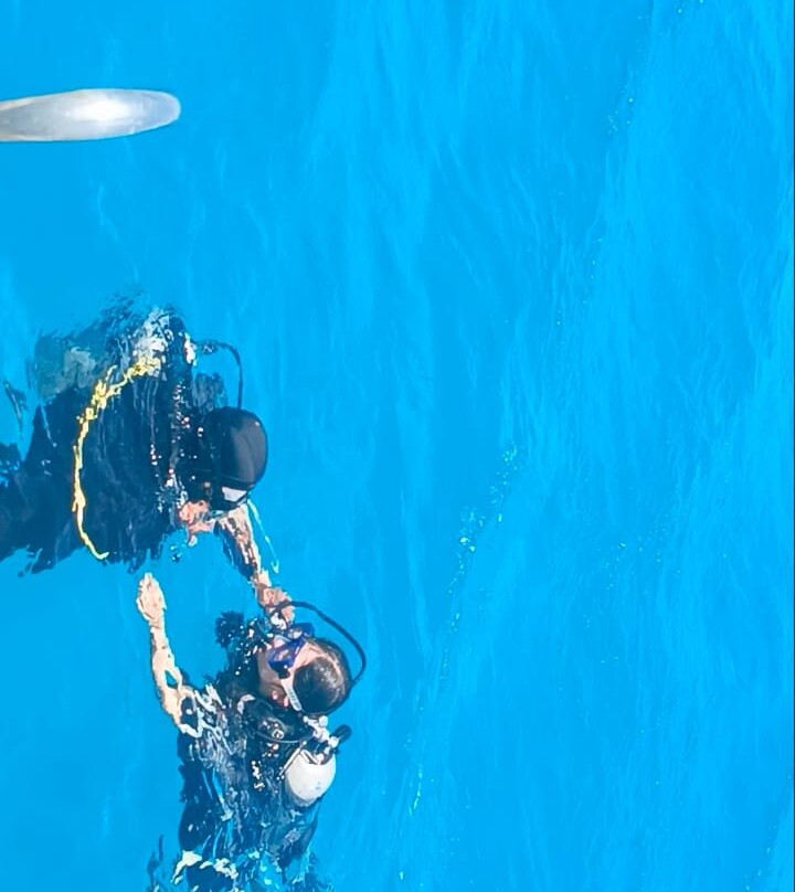 Atlantik Diving Center-艾尔可西利亚必去景点