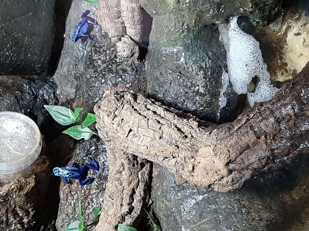 Northumberland Zoo-莫佩思必去景点
