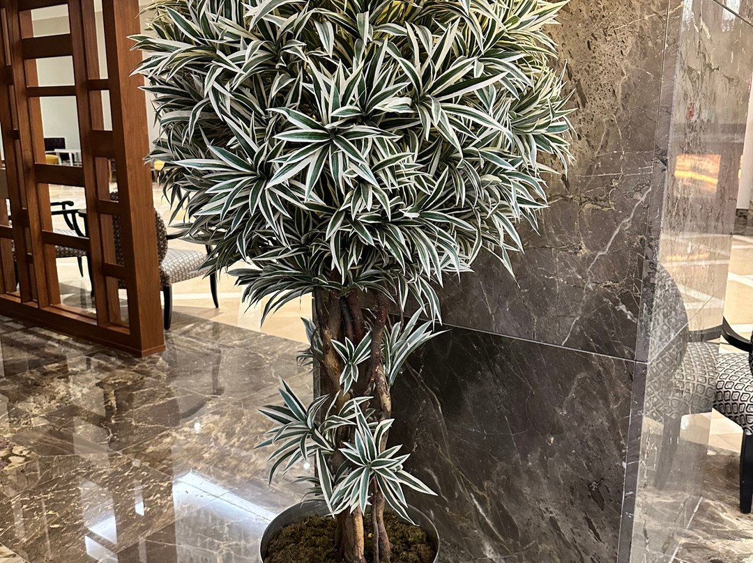 Alusso Thermal Hotel & Spa 阿鲁索温泉酒店及水疗中心主图