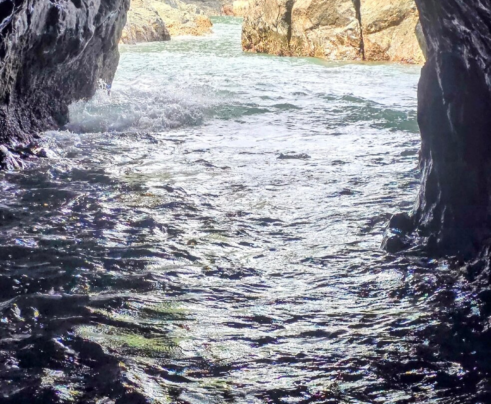 Scubacaribe, Costa Rica-Playa Matapalo必去景点