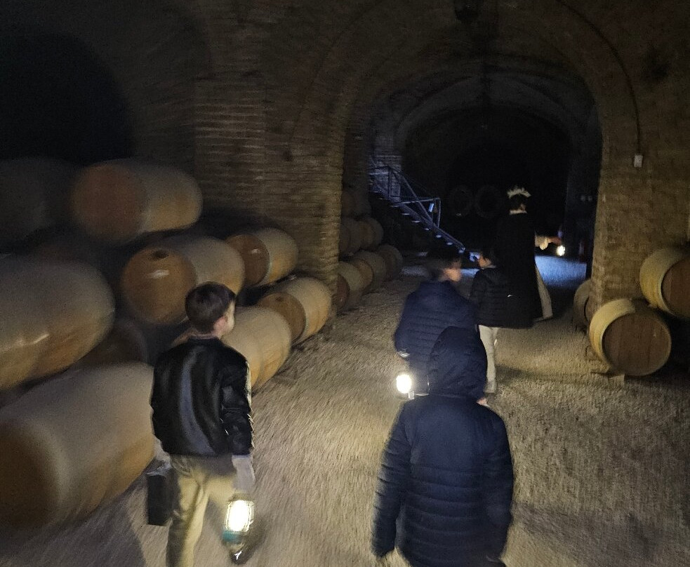 Vina Santa Carolina-圣地亚哥必去景点