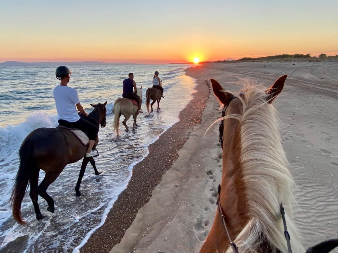 Savalia Horse Riding Club - Sport & Nature-Savalia必去景点