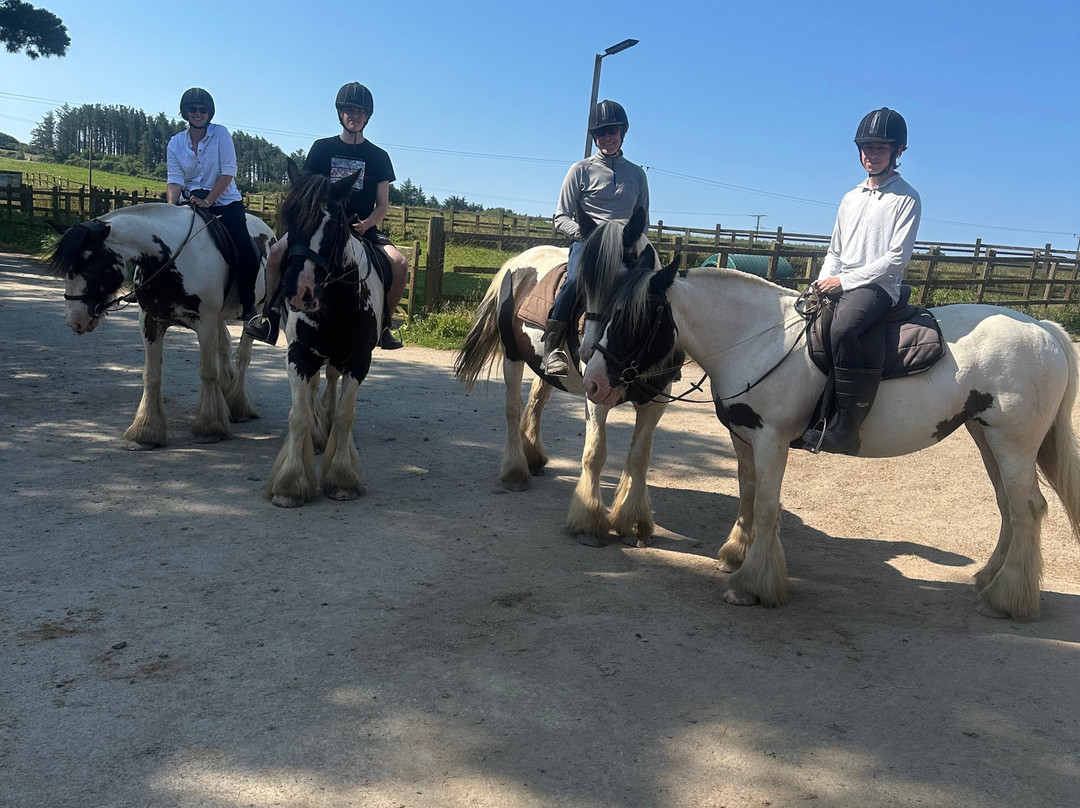 Mullacott Equestrian Centre-伊尔弗勒科姆必去景点