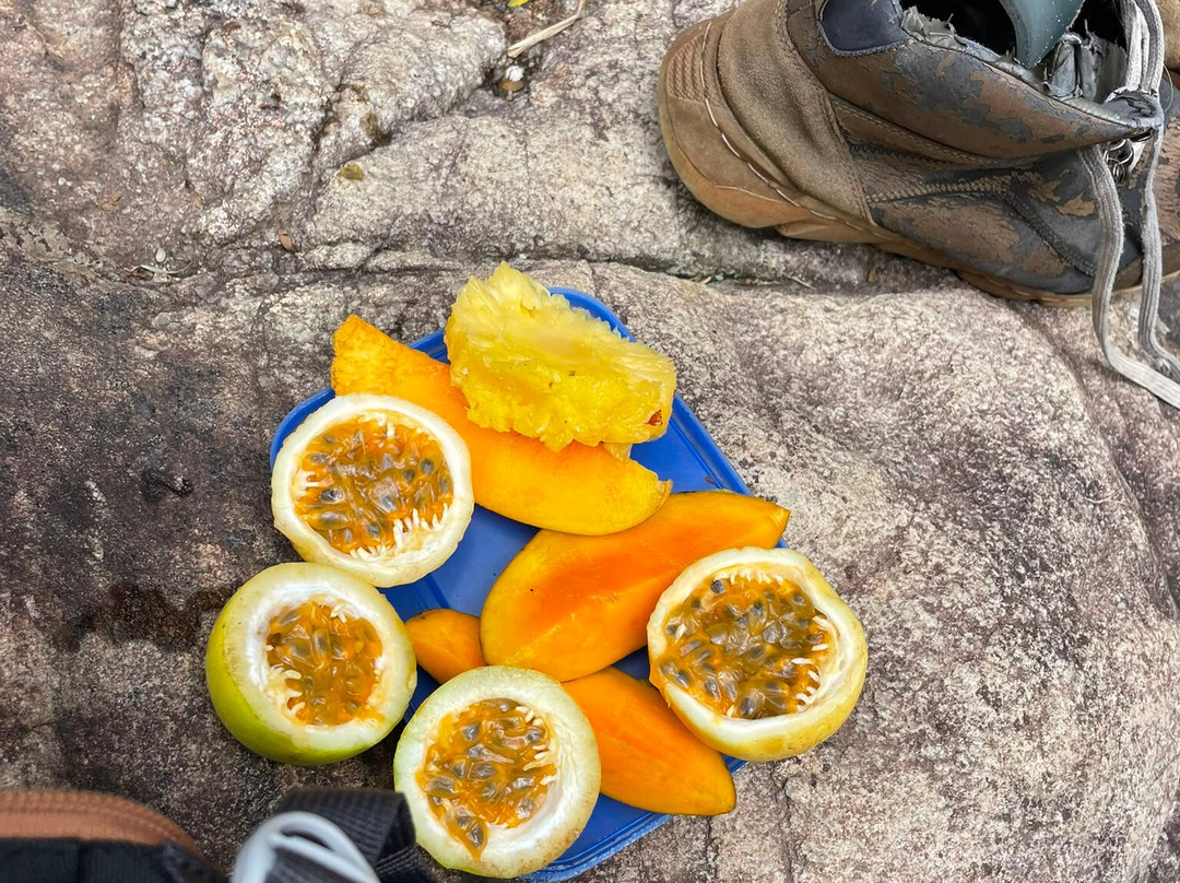 Kandy Trekking Tours-康提必去景点