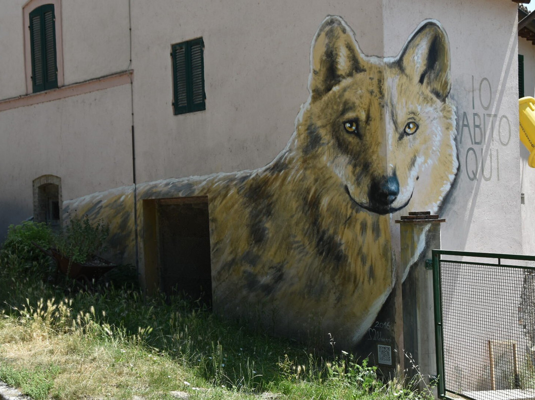 I Murales di Braccano-Matelica必去景点
