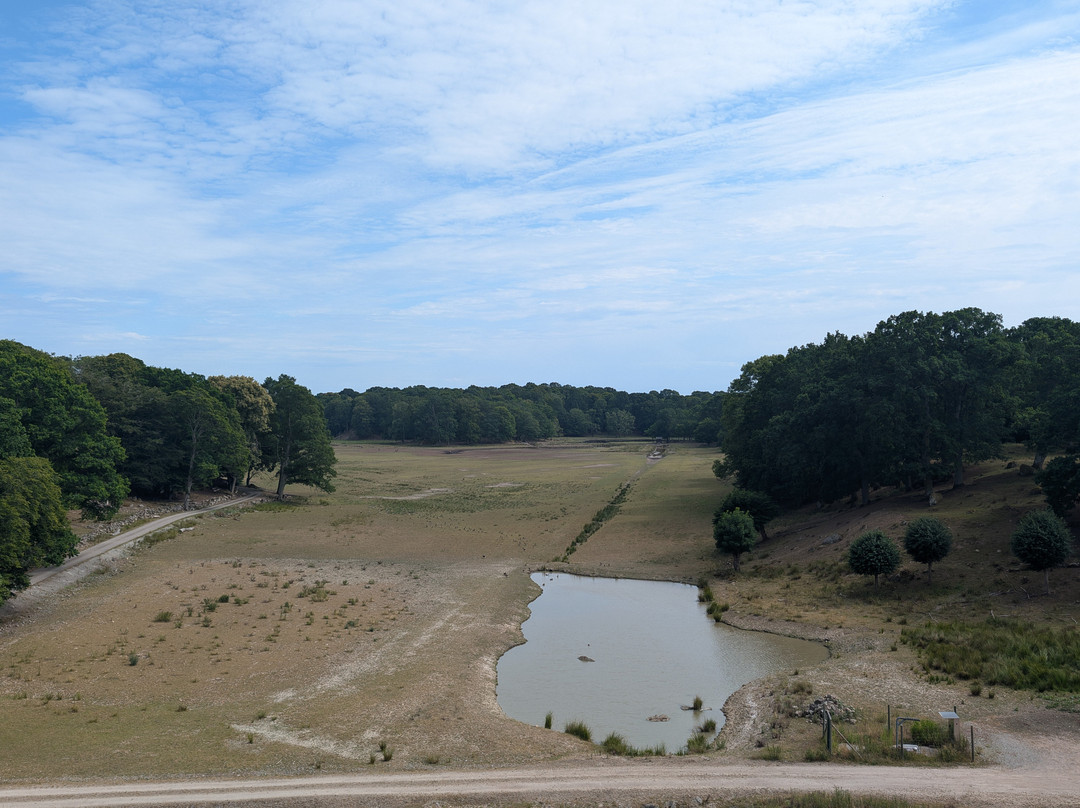 Eriksberg Wildlife Park-Trensum必去景点