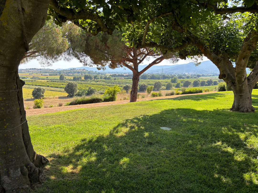 Fattoria Le Mortelle-Ampio必去景点