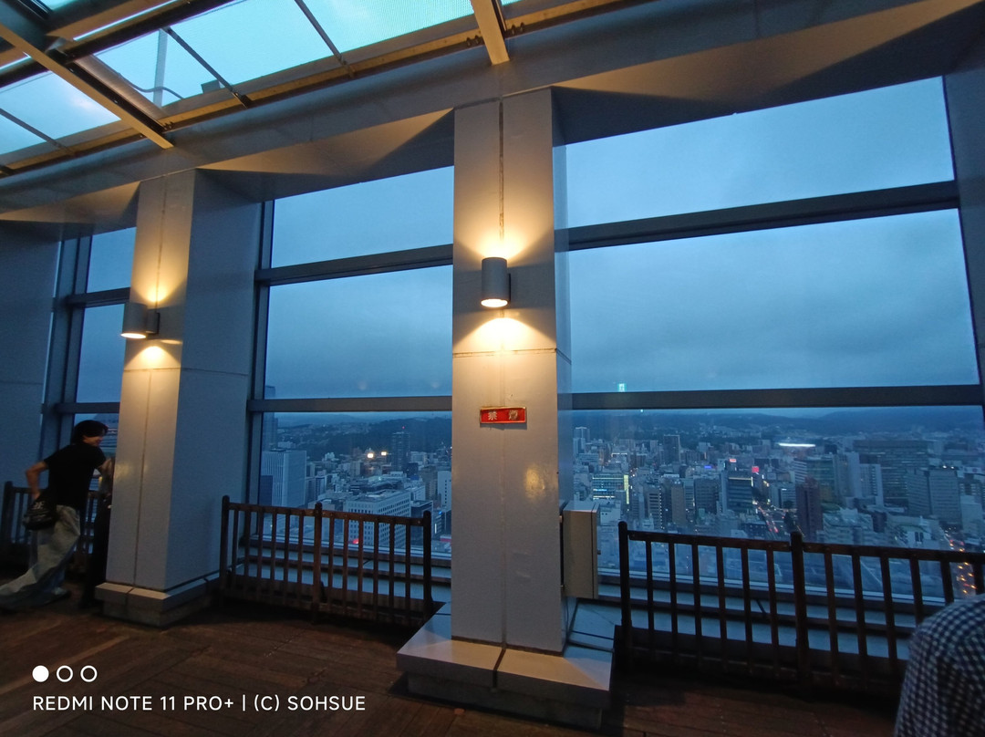 AER Lookout Terrace-仙台市必去景点