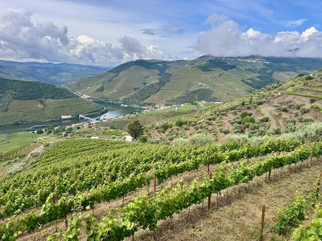 Quinta do Jalloto-Casal de Loivos必去景点