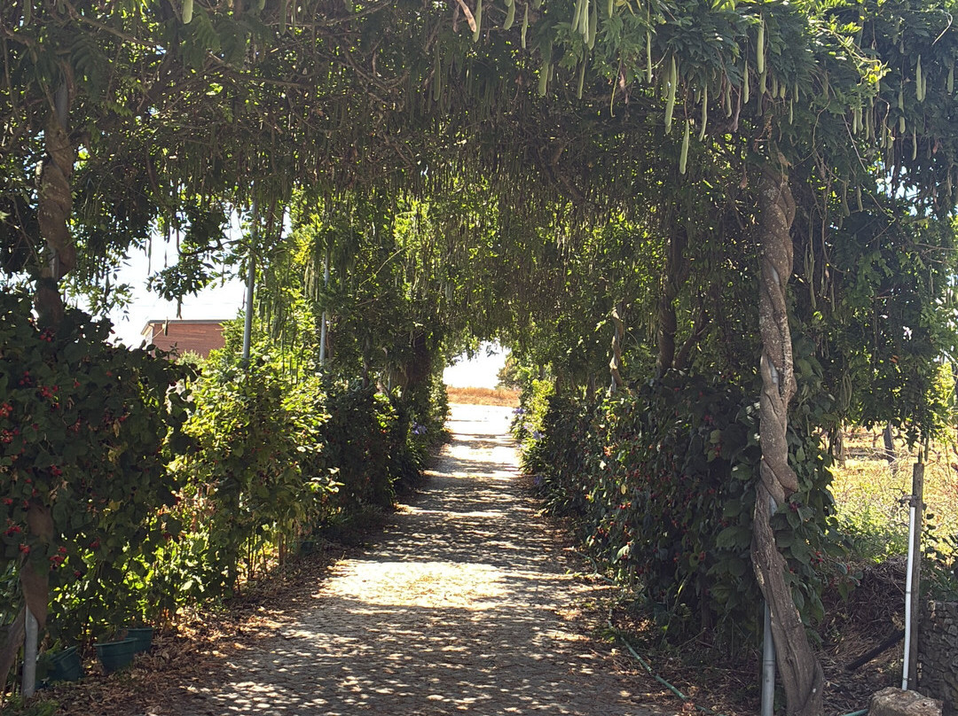 Quinta do Roncão-Vila Real必去景点