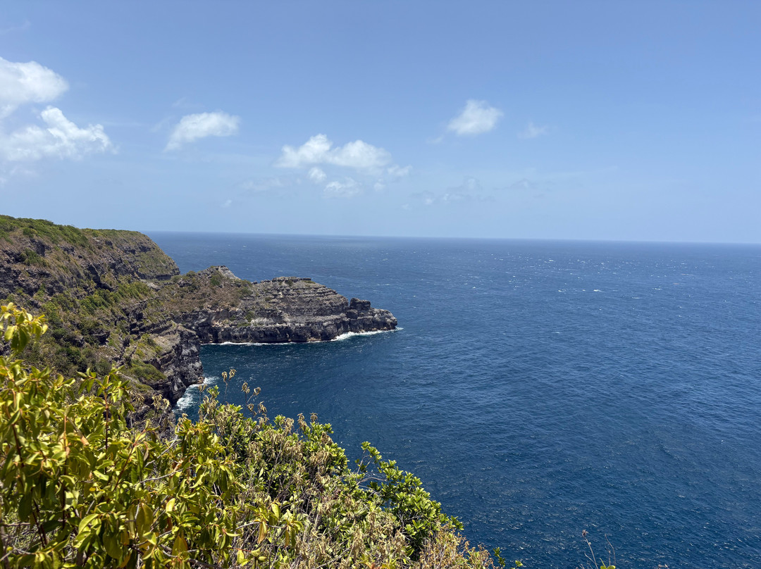 Pointe de la Grande Vigie-Anse-Bertrand必去景点
