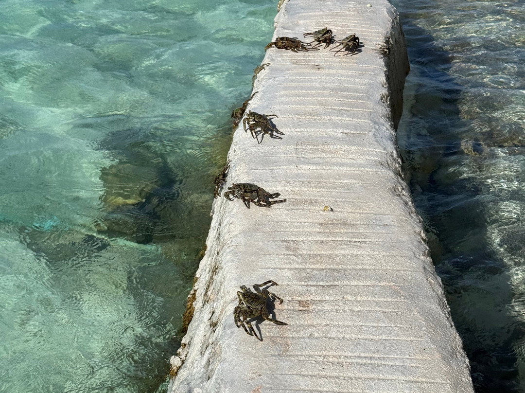 马尔代夫Ellaidhoo Cinnamon酒店主图