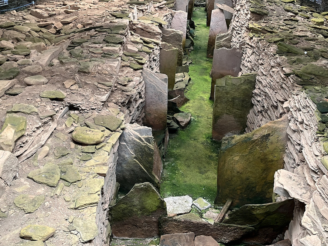 Midhowe Chambered Cairn-Rousay必去景点