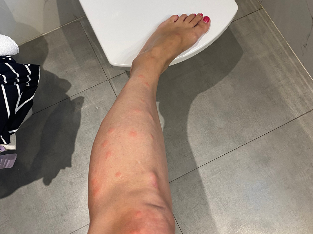 鲁阿维亚堡欧洲之星酒店主图