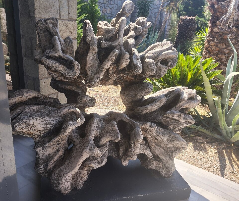 Petrified Forest of Lesbos-Sigri必去景点