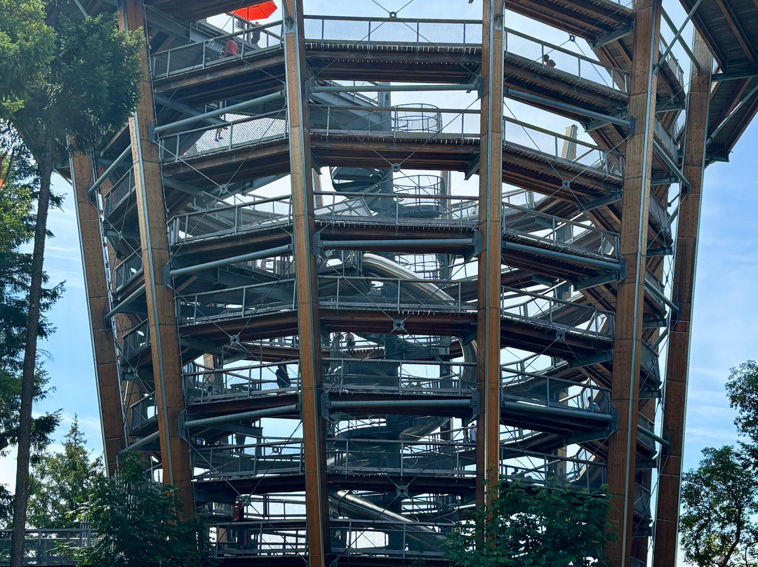 Malahat Skywalk-Malahat必去景点
