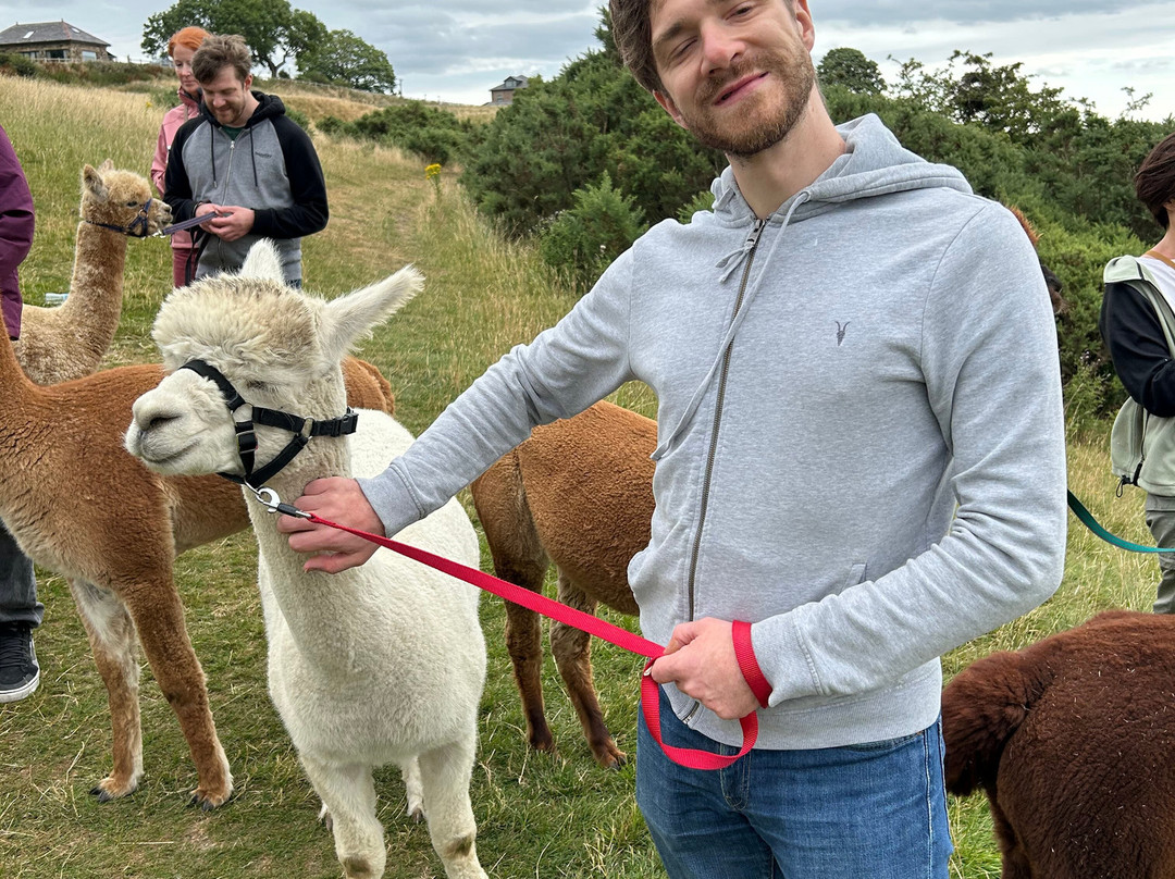 Meadowcroft Farm Alpacas-Bury必去景点