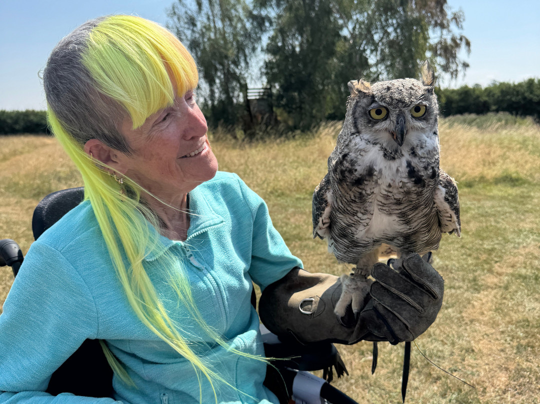 Bird on the Hand Falconry Experiences-Church Langton必去景点