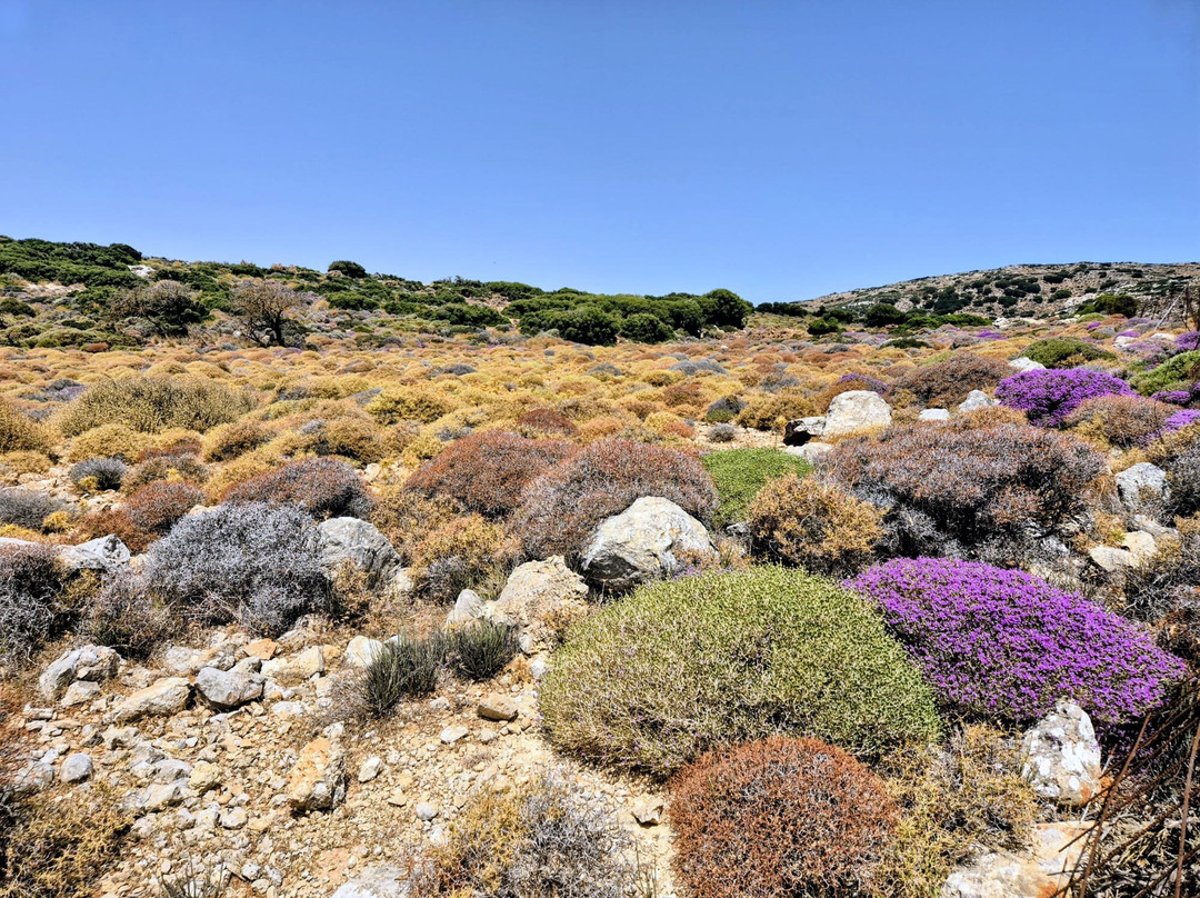 Crete Off Road-Koutsounari必去景点