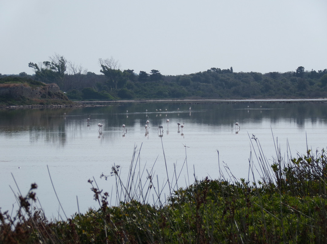 Spiaggia Salina dei Monaci-Manduria必去景点
