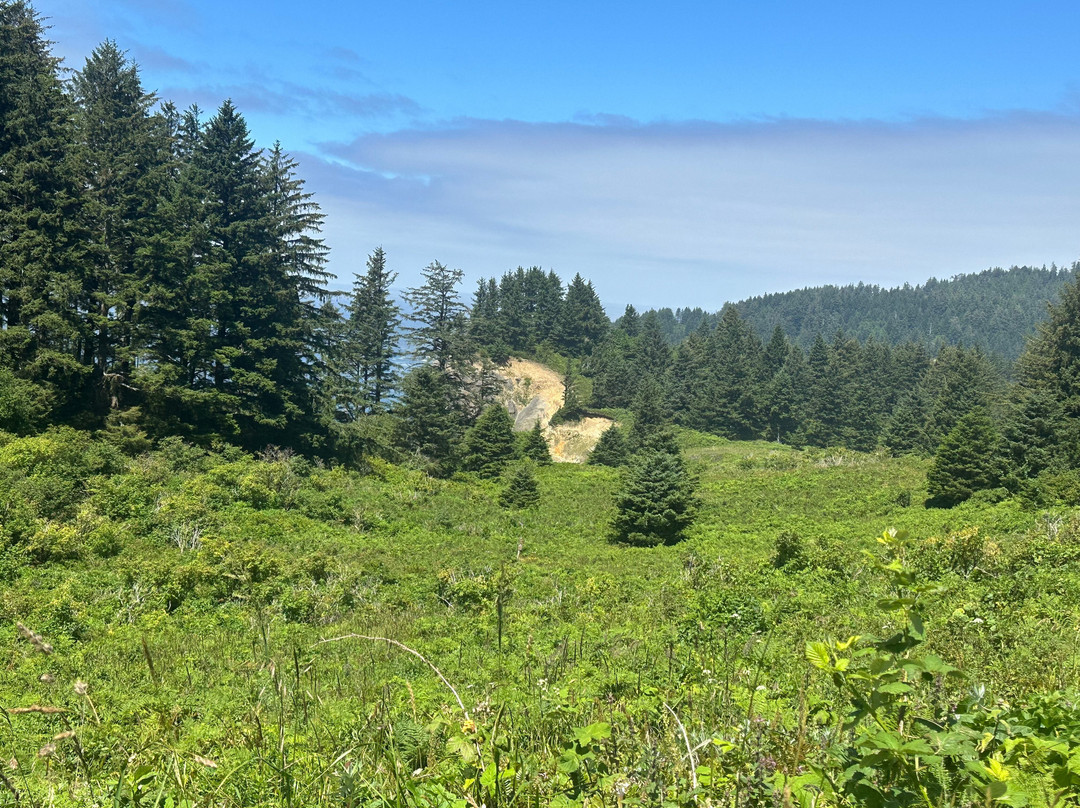 Oswald West State Park-坎农比奇必去景点