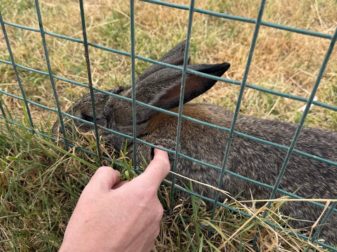 Greenmeadow Community Farm-Cwmbran必去景点