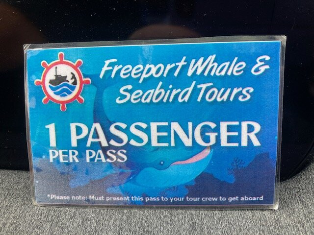 Freeport Whale & Seabird Tours-Freeport必去景点
