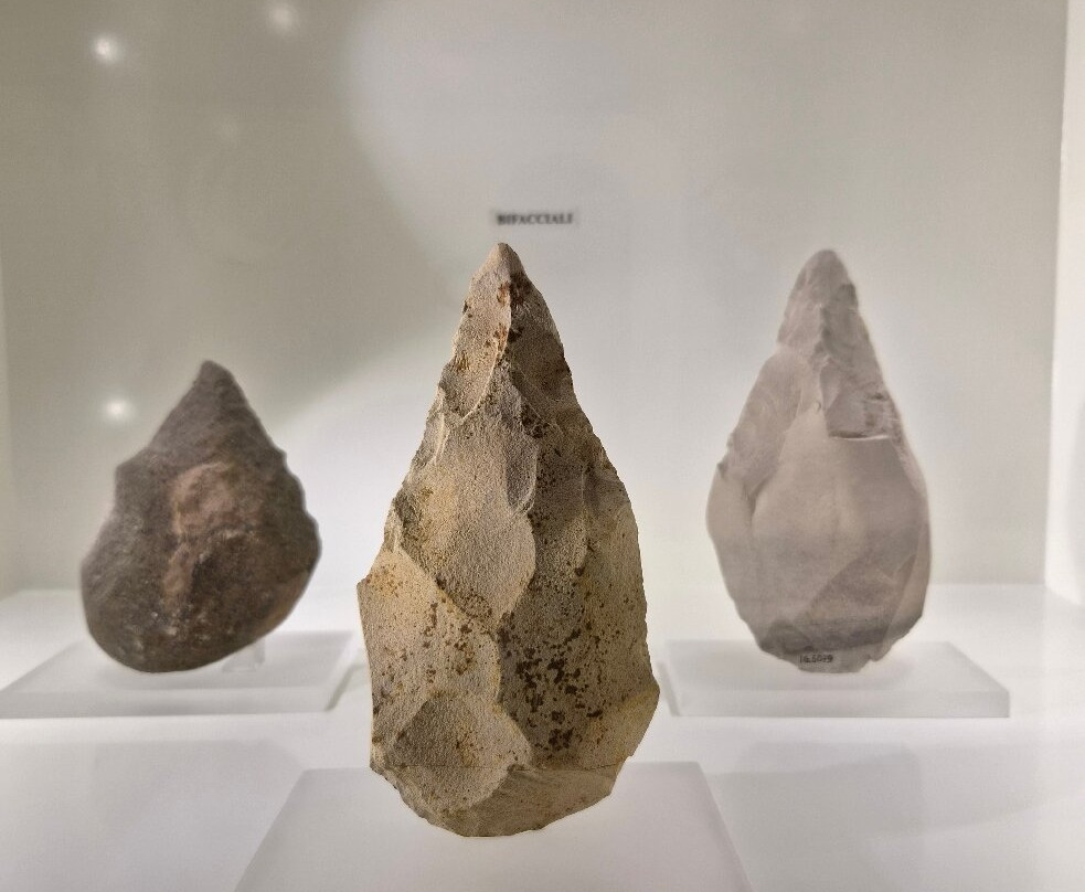 Museo Nazionale Archeologico di Altamura-阿尔塔穆拉必去景点