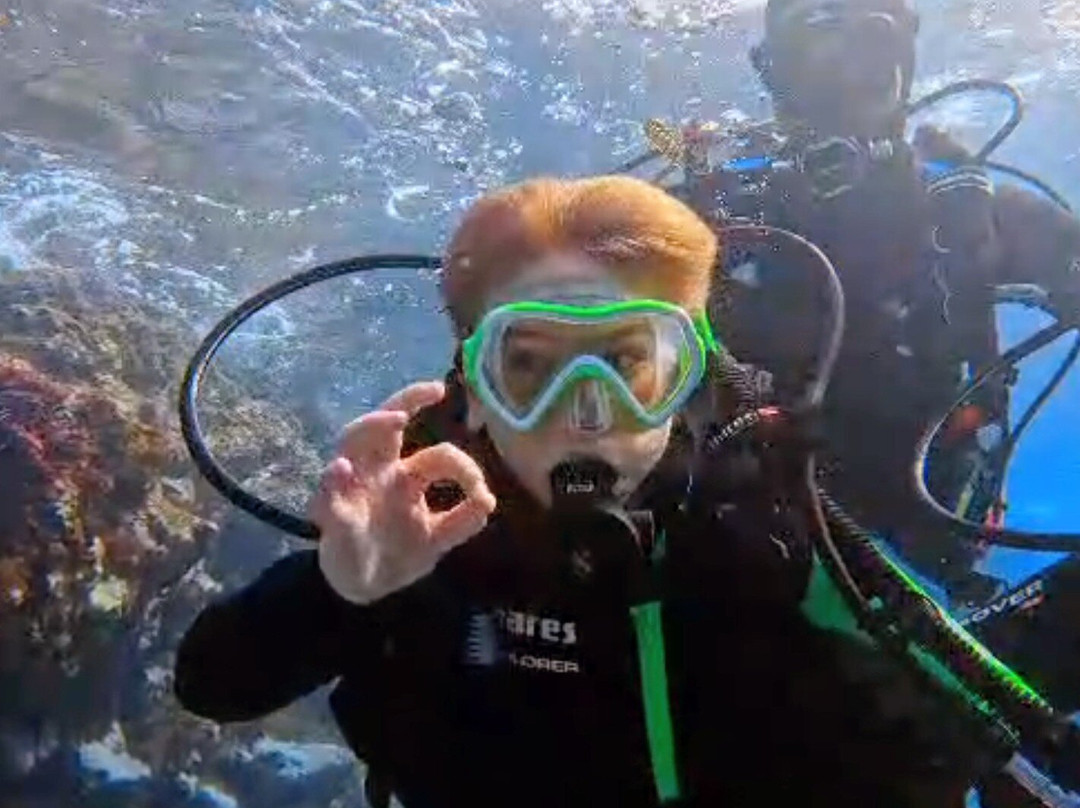 Madeira Diving Center-Canico必去景点