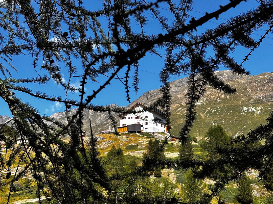 Gola del Rio Plima-Martello必去景点