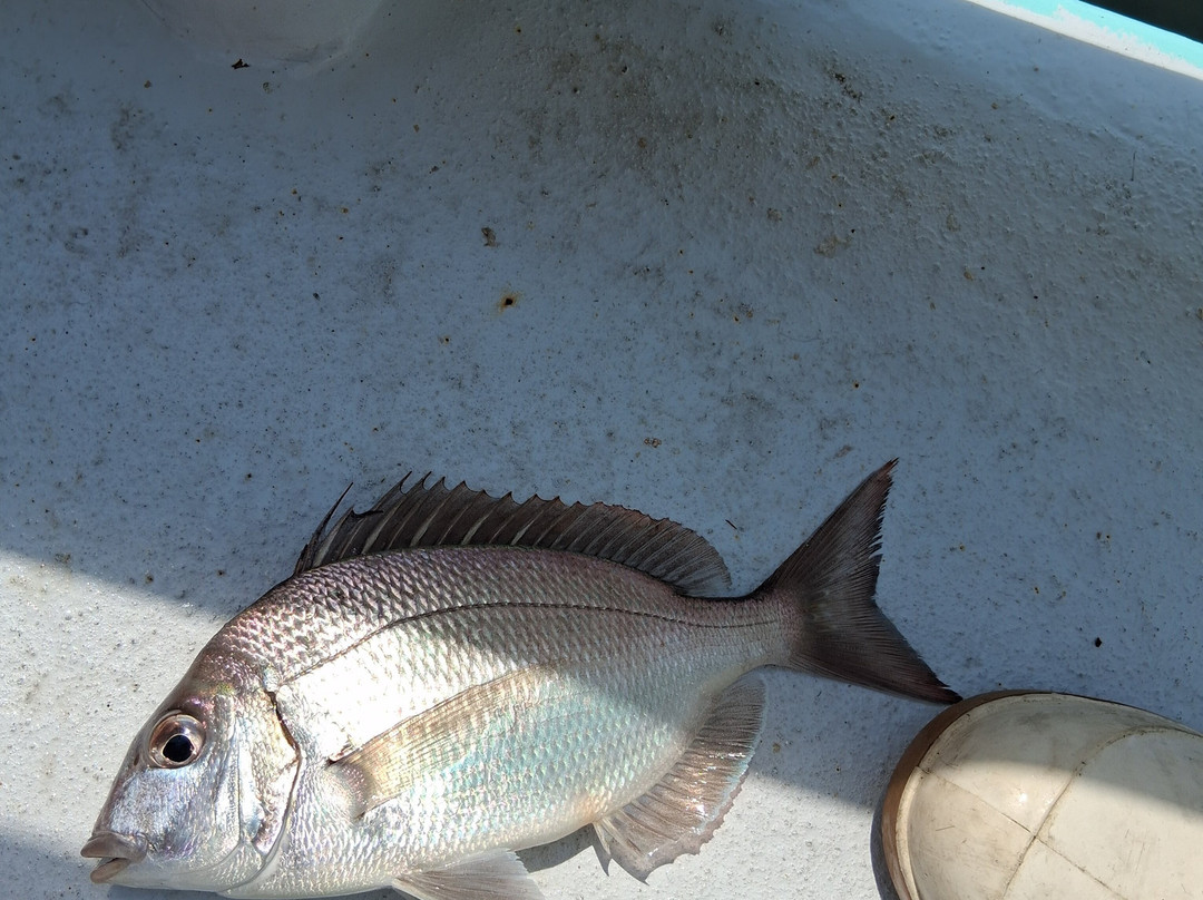 Sound Bound Fishing Charters-New Rochelle必去景点