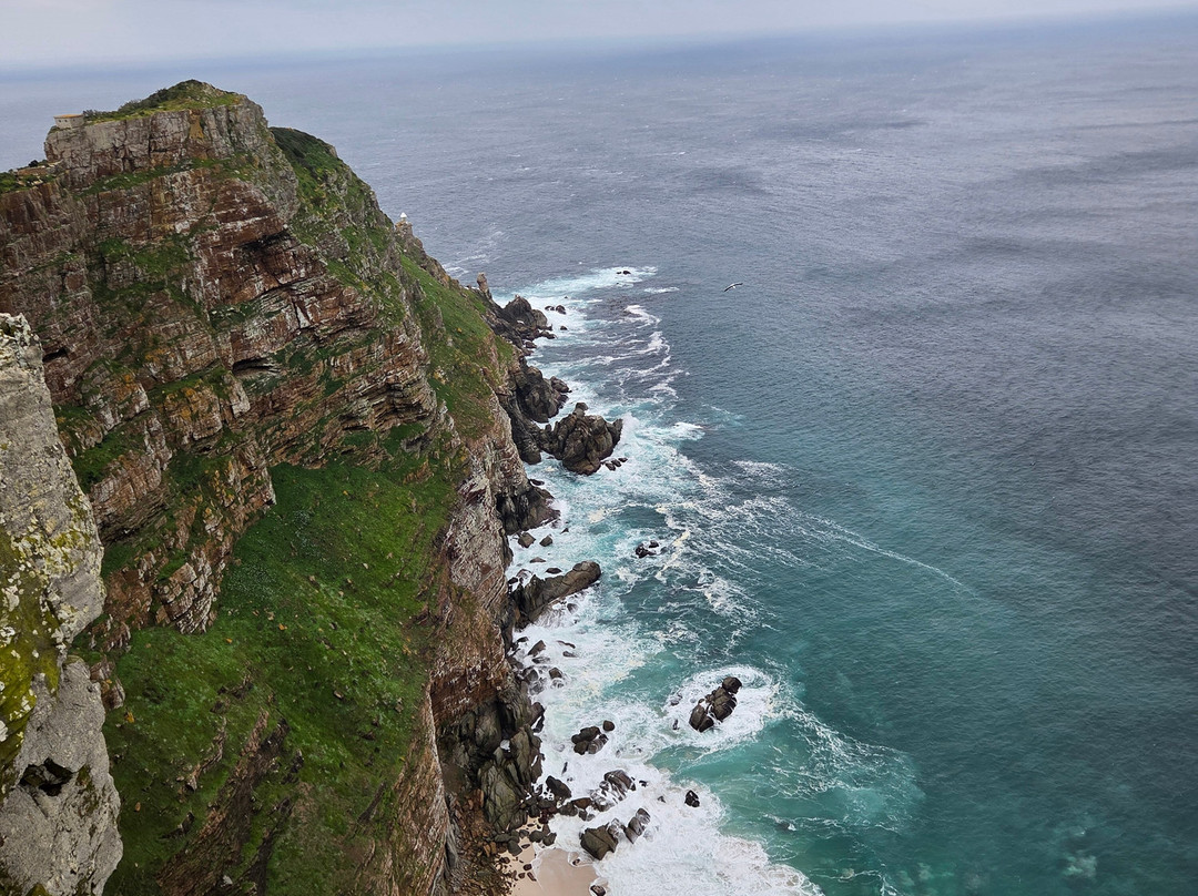 Glorious Cape Tours-开普敦中心区必去景点