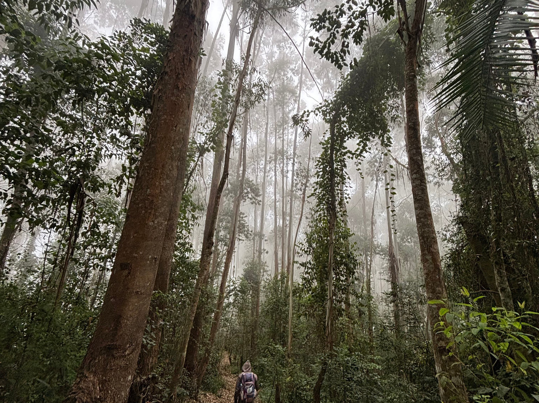 Respect Hiking Tours & Safari.-卢绍托必去景点