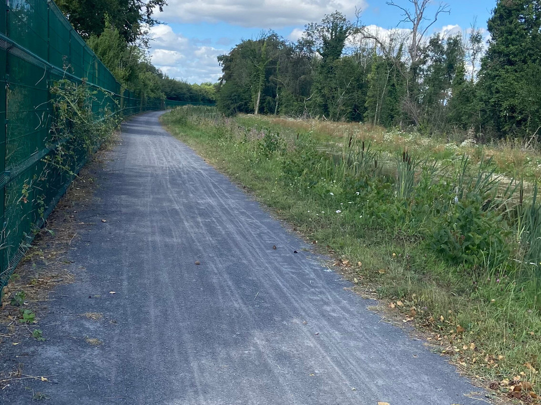 Royal Canal Way-Mullingar必去景点