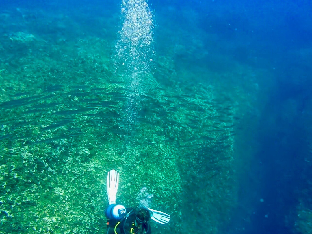 Atlantis Diving Center-Marsalforn必去景点