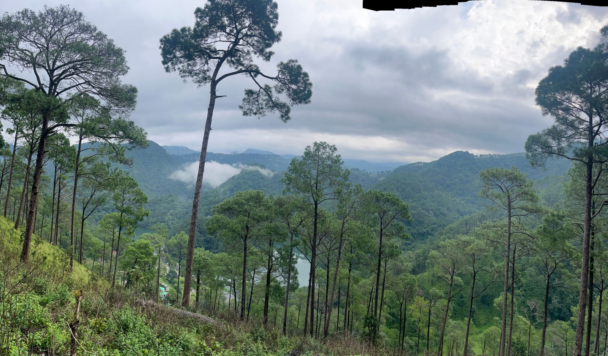 Sattal Forest Resort-旅行者